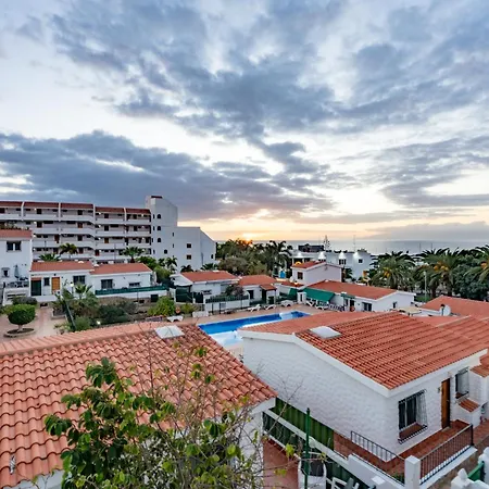 Palo Blanco Costa Adeje (Tenerife)